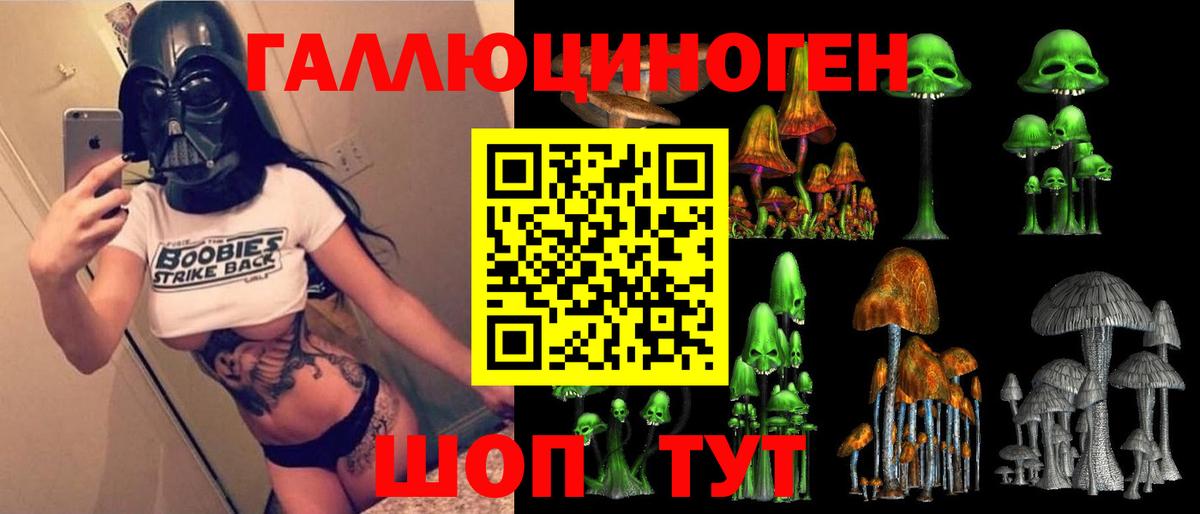 Галлюциногенные грибы Psilocybe Кольчугино