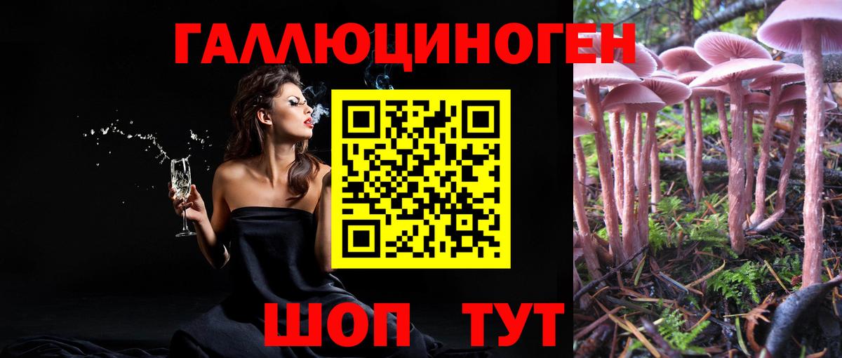 Кольчугино  Псилоцибиновые грибы мухоморы  Вход с VPN 